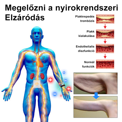 🐝ZVLZVL™ Méhméreg Lymphatic DetoxFogyasztó Tapasz 🔥𝐊𝐨𝐫𝐥á𝐭𝐨𝐳𝐨𝐭𝐭 𝐢𝐝𝐞𝐢𝐠 𝟕𝟎% 𝐊𝐄𝐃𝐕𝐄𝐙𝐌É𝐍𝐘🔥 (Szabadalmazott módszerrel az összes korosztály számára)
